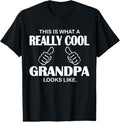 100% Cotton This Is What Really Cool Grandpa Like - Adult & Kids T-Shirts, Sweatshirts & Hoodies apparel design preview 1