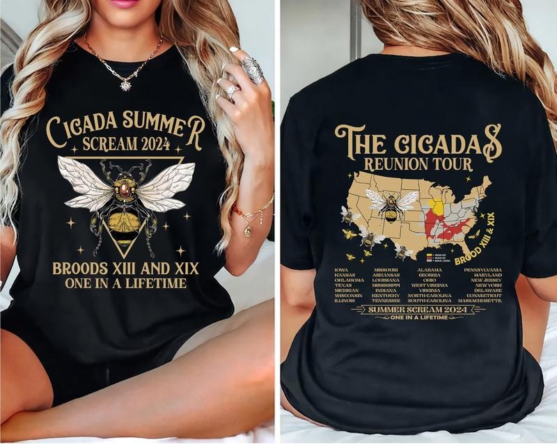 2 Sides Cicadas Reunion Tour Cicada Concert 2024 - Adult & Kids T-Shirts, Sweatshirts & Hoodies apparel design preview 1