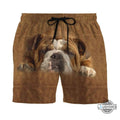 3D Lazy Bulldog Custom Summer Beach Men Shorts Swim - Adult & Kids T-Shirts, Sweatshirts & Hoodies apparel design preview 1
