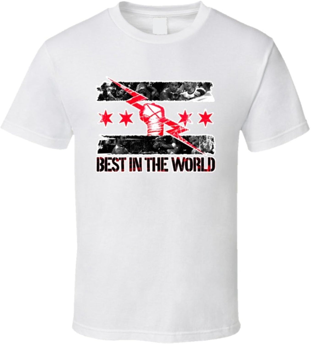 CM Punk Best in The World Wrestling - Adult & Kids T-Shirts, Sweatshirts & Hoodies apparel design preview 1