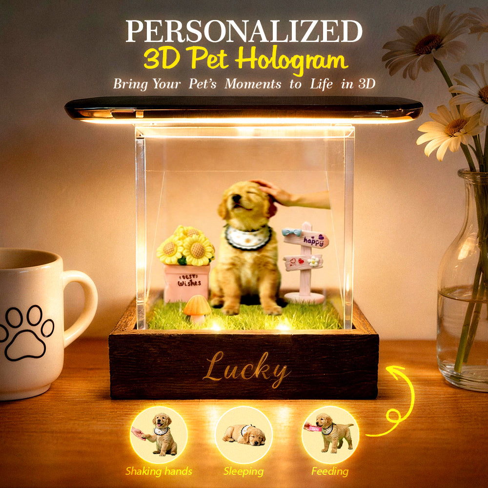 Lumina Boxes Custom Pet Digital Hologram House with - Adult & Kids T-Shirts, Sweatshirts & Hoodies apparel design preview 1