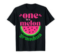 One Melon Grandma Watermelon Party T-Shirt - Novelty Apparel for Adults - T-Shirt, Sweatshirt, Hoodie