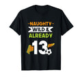 Naughty Wild Already 13 Birthday T-Shirt - Streetwear Style for Adults - T-Shirt, Sweatshirt, Hoodie