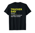 Trucker Dad Father Definition T-Shirt - Minimalist Print for Adults - T-Shirt, Sweatshirt, Hoodie