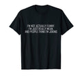 Im Not Actually Dad Joke T-Shirt - Unique Graphic for Adults - T-Shirt, Sweatshirt, Hoodie