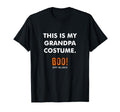 This Is My Halloween Grandparents Costume T-Shirt - Trendy Graphic Unisex - T-Shirt, Sweatshirt, Hoodie
