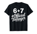 13Th Birthday Art Teenager 13 Year T-Shirt - Fun Novelty Design for Adults - T-Shirt, Sweatshirt, Hoodie