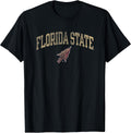 Florida State Seminoles Vintage Arrowhead - Adult & Kids T-Shirts, Sweatshirts & Hoodies apparel design preview 1