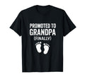 Promoted To Grandpa Finally Funny T-Shirt - Minimalist Print for Adults - T-Shirt, Sweatshirt, Hoodie