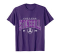 Stonehill Institute Technology Arch T-Shirt - Trendy Graphic for Adults - T-Shirt, Sweatshirt, Hoodie