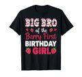 Big Bro Berry First Bday Strawberry T-Shirt - Graphic Print for Adults - T-Shirt, Sweatshirt, Hoodie