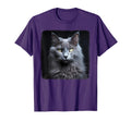Nebelung Cats Kitten Nebelung Cat T-Shirt - Trendy Graphic for Adults - T-Shirt, Sweatshirt, Hoodie