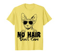 Funny Sphynx Cat No Hair Dont Care Bald T-Shirt - Unique Graphic Unisex - T-Shirt, Sweatshirt, Hoodie
