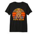 Mens Mens Papa Bear Family Dad T-Shirt - Aesthetic Graphic Men Women - T-Shirt, Sweatshirt, Hoodie
