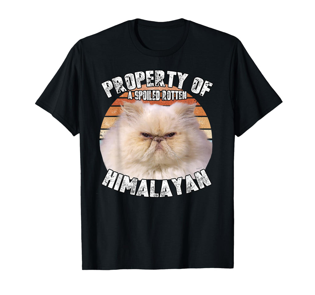 Cat Himalayan Property Eighties Cat Gift T-Shirt - Streetwear Style Unisex - T-Shirt, Sweatshirt, Hoodie