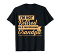 Im Not Retired Im Professional T-Shirt - Custom Art Print for Adults - T-Shirt, Sweatshirt, Hoodie