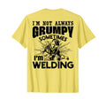 Im Not Always Grumpy Sometimes Im T-Shirt - Fun Novelty Design for Adults - T-Shirt, Sweatshirt, Hoodie