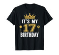 Its My 17Th Birthday Gift 17 Years Old T-Shirt - Trendy Graphic Men Women - T-Shirt, Sweatshirt, Hoodie