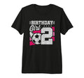 2 Year Old Soccer Birthday 2Nd T-Shirt - Casual Everyday Wear for Adults - T-Shirt, Sweatshirt, Hoodie