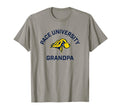 Pace University Setters Arched T-Shirt - Aesthetic Graphic Men Women - T-Shirt, Sweatshirt, Hoodie