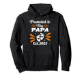 Promote To Big Papa Bear Dad Est 2025 Hoodie - Novelty Apparel for Adults - T-Shirt, Sweatshirt, Hoodie