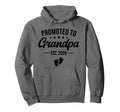 Promoted To Grandpa Est 2026 New Hoodie - Custom Art Print Men Women - T-Shirt, Sweatshirt, Hoodie