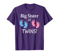 Big Sister Twin And Sibling T-Shirt - Aesthetic Graphic Men Women - T-Shirt, Sweatshirt, Hoodie