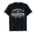 Promoted To Grandpa Est 2025 T-Shirt - Aesthetic Graphic for Adults - T-Shirt, Sweatshirt, Hoodie