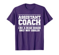 Assistant Coach Tennis Softball T-Shirt - Fun Novelty Design for Adults - T-Shirt, Sweatshirt, Hoodie