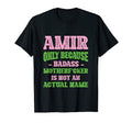 Badass Amir Name Unique Nickname T-Shirt - Novelty Apparel for Adults - T-Shirt, Sweatshirt, Hoodie