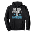 I Have Been Promoted To Grandpa New Hoodie - Aesthetic Graphic Unisex - T-Shirt, Sweatshirt, Hoodie