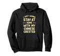 Stay Home My Airedale Terrier Funny Hoodie - Aesthetic Graphic Men Women - T-Shirt, Sweatshirt, Hoodie