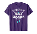 Promoted To Great Grandpa Est 2026 Funny T-Shirt - Minimalist Print Unisex - T-Shirt, Sweatshirt, Hoodie
