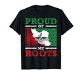 Iran Iranian Persian Irani Flag T-Shirt - Aesthetic Graphic for Adults - T-Shirt, Sweatshirt, Hoodie