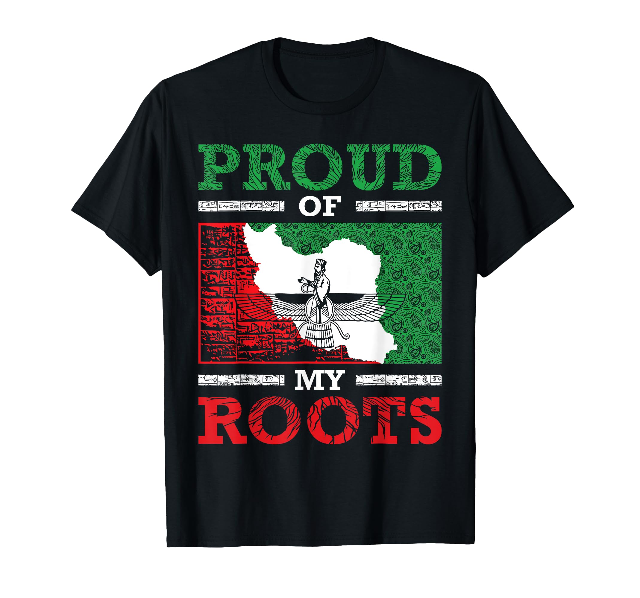 Iran Iranian Persian Irani Flag T-Shirt - Aesthetic Graphic for Adults - T-Shirt, Sweatshirt, Hoodie