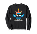 Cousin Birthday Cousin Unicorn Sweatshirt - Streetwear Style for Adults - T-Shirt, Sweatshirt, Hoodie