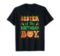 Sister Birthday Lion Family Party T-Shirt - Fun Novelty Design for Adults - T-Shirt, Sweatshirt, Hoodie