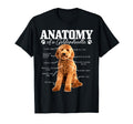 Anatomy Goldendoodle Funny Dog T-Shirt - Custom Art Print for Adults - T-Shirt, Sweatshirt, Hoodie