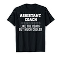 Professional Assistant Volleyball Coach T-Shirt - Aesthetic Graphic Unisex - T-Shirt, Sweatshirt, Hoodie