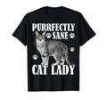 Cat Lady Cat Lover Cats Funny Cat Owner T-Shirt - Unique Graphic for Adults - T-Shirt, Sweatshirt, Hoodie