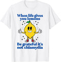 Lemons and Chlamydia Absurd Offensive Meme Sarcastic - Adult & Kids T-Shirts, Sweatshirts & Hoodies apparel design preview 1