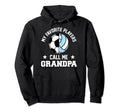 My Favorites Soccer Volleyball Hoodie - Fun Novelty Design for Adults - T-Shirt, Sweatshirt, Hoodie