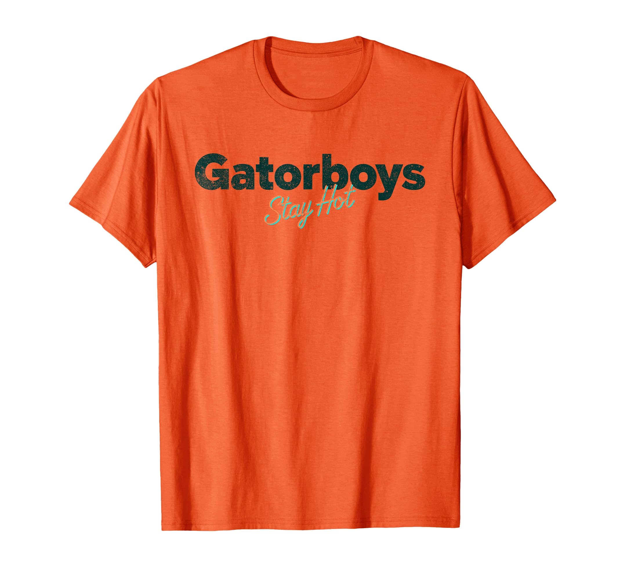 Funny Gator Stay Hot Gifts T-Shirt - Minimalist Print for Adults - T-Shirt, Sweatshirt, Hoodie