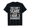 You Cant Scare Me I Have 3 Grandkids T-Shirt - Trendy Graphic for Adults - T-Shirt, Sweatshirt, Hoodie