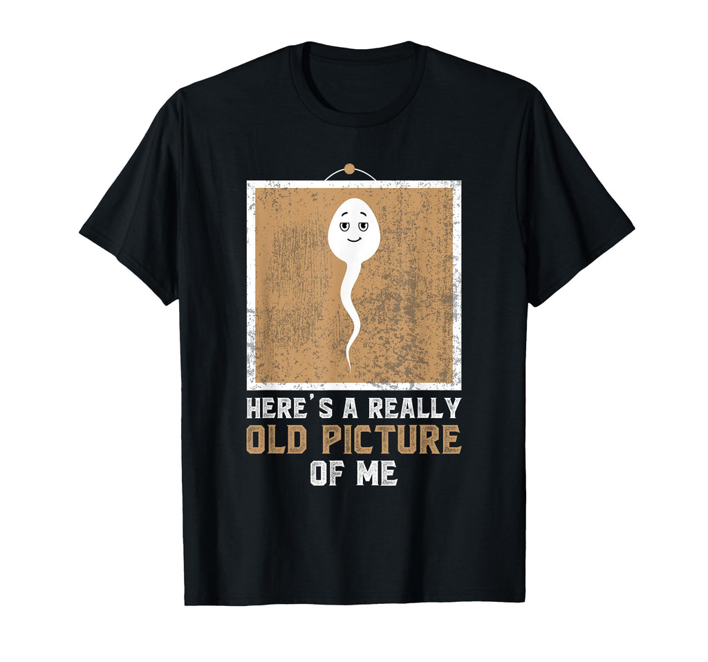 Funny Meme Heres Really Old Picture T-Shirt - Aesthetic Graphic for Adults - T-Shirt, Sweatshirt, Hoodie