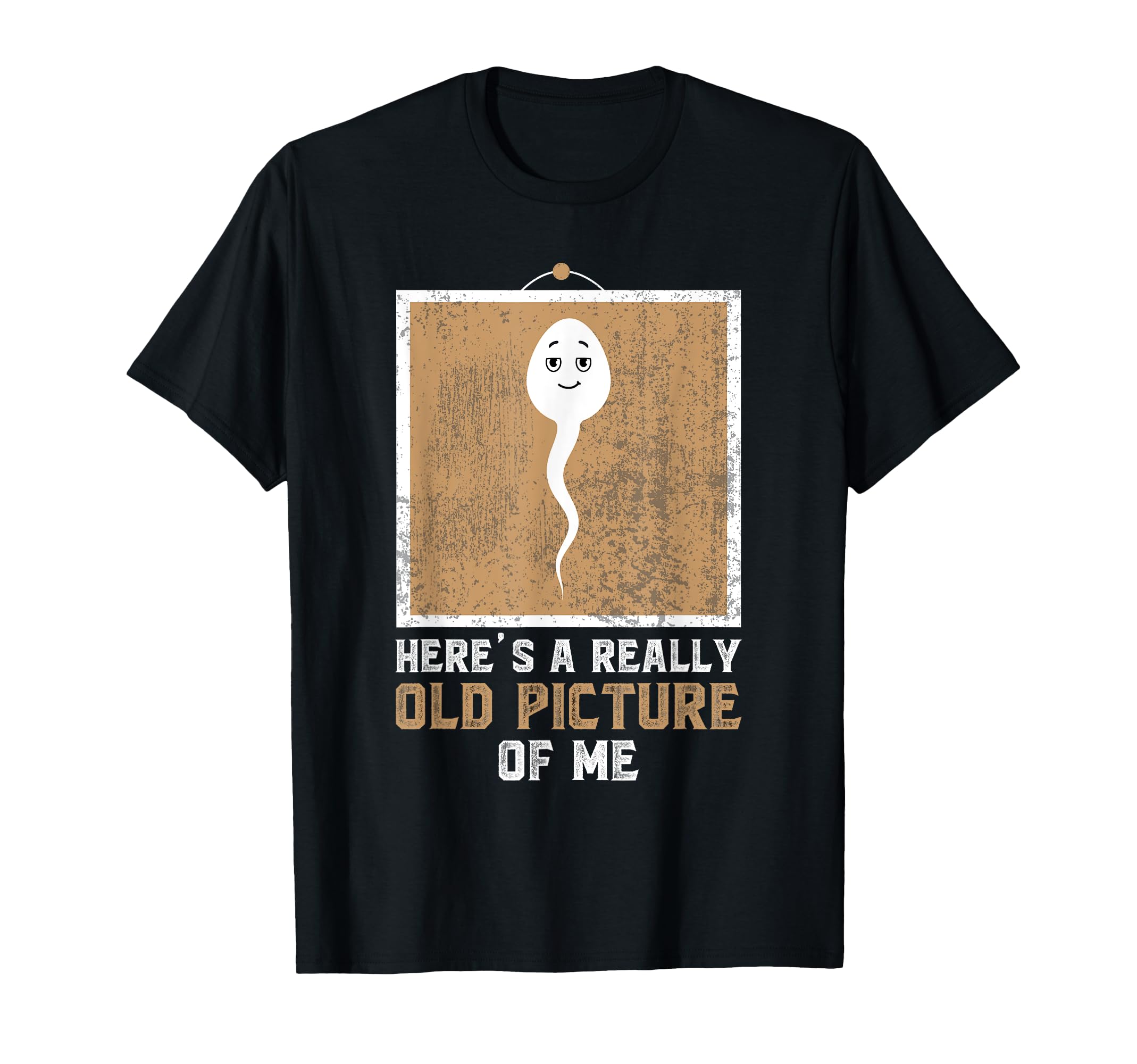 Funny Meme Heres Really Old Picture T-Shirt - Aesthetic Graphic for Adults - T-Shirt, Sweatshirt, Hoodie