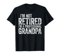 Im Not Retired Im Professional Grandpa T-Shirt - Fun Novelty Design Unisex - T-Shirt, Sweatshirt, Hoodie