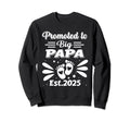 Promote To Big Papa Bear Dad Est Sweatshirt - Novelty Apparel Men Women - T-Shirt, Sweatshirt, Hoodie