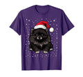 Black Pomeranian Dog Santa Hat T-Shirt - Aesthetic Graphic for Adults - T-Shirt, Sweatshirt, Hoodie