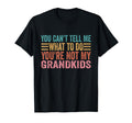You Cant Tell Me What To Do Youre T-Shirt - Custom Art Print for Adults - T-Shirt, Sweatshirt, Hoodie